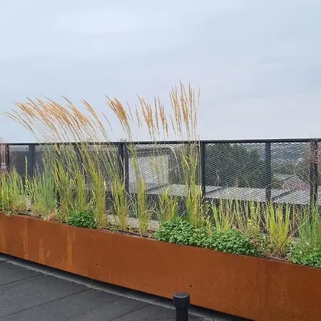 In & Radio Apartament